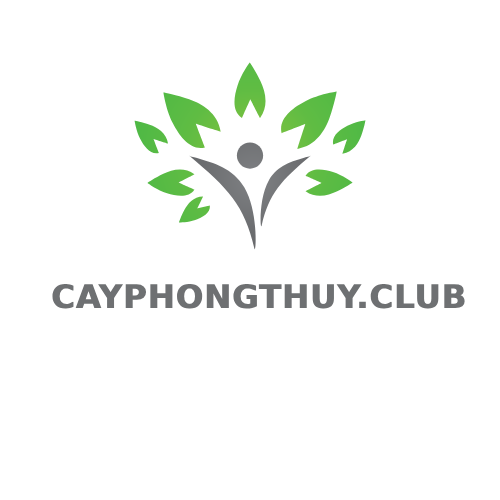 Cây Phong Thuỷ Club