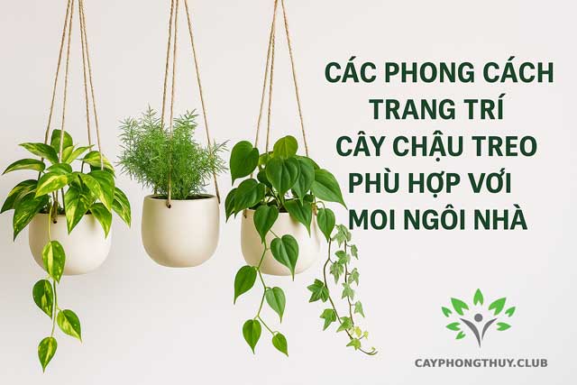 Cây Chậu Treo